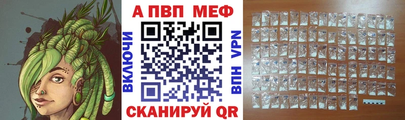 Alfa_PVP СК КРИС Сокол