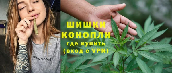 Альфа ПВП Аркадак