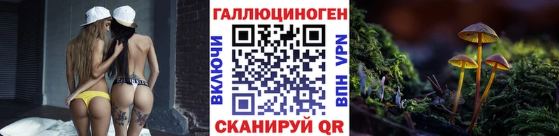 магазин    Сокол  kraken как войти  Галлюциногенные грибы MAGIC MUSHROOMS 