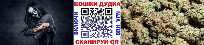 Бошки марихуана сатива Сокол
